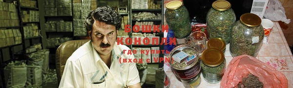 mdpv Белокуриха