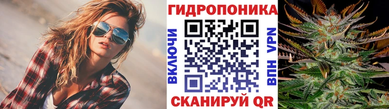 Конопля OG Kush  Энем 